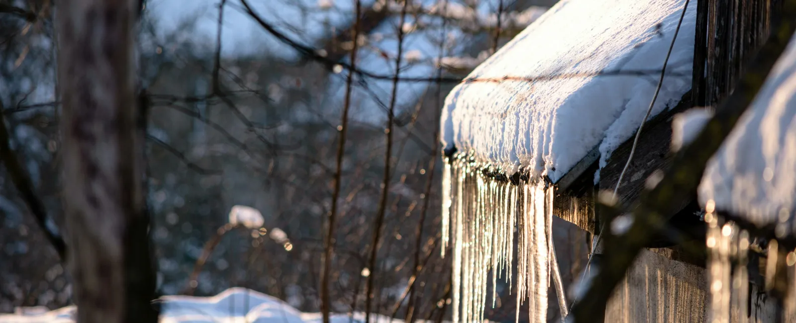 5 Signs January's Cold Snap Damaged Your Atlanta Home's Exterior