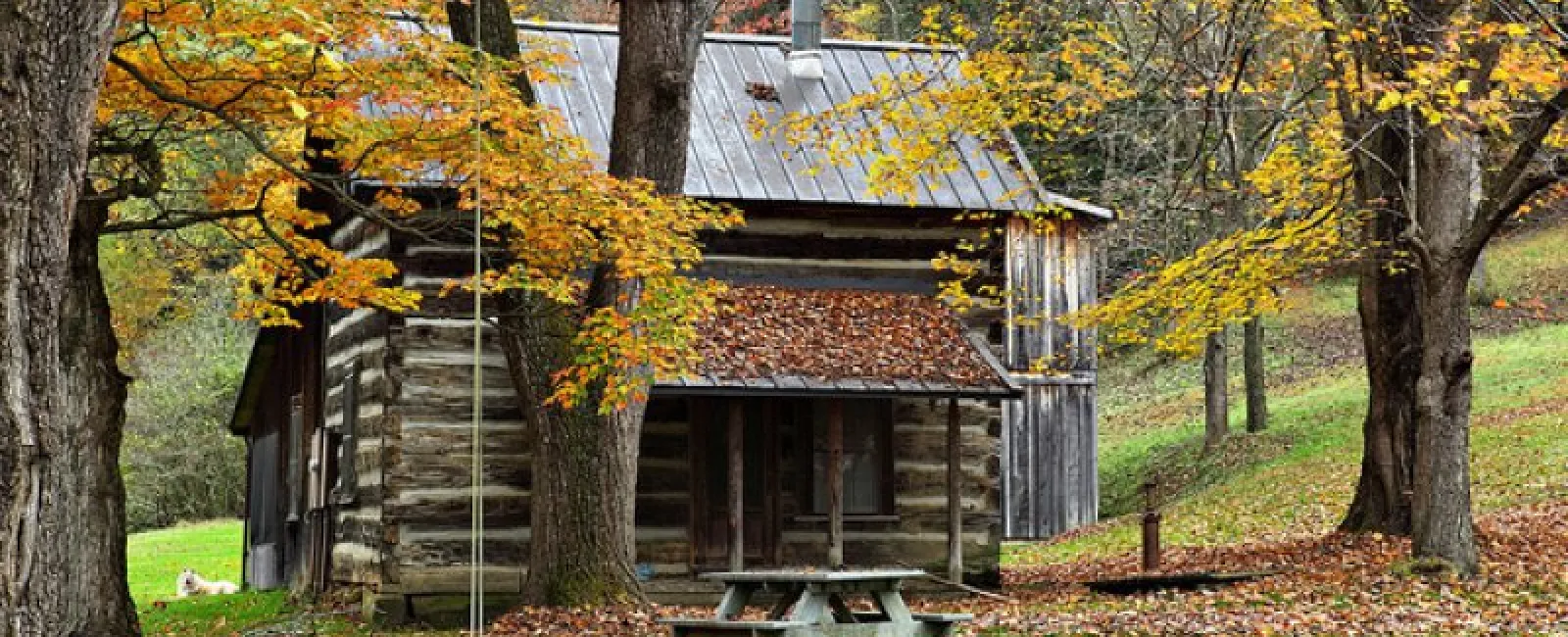Ideal Roof Styles For Your Georgia Cabin