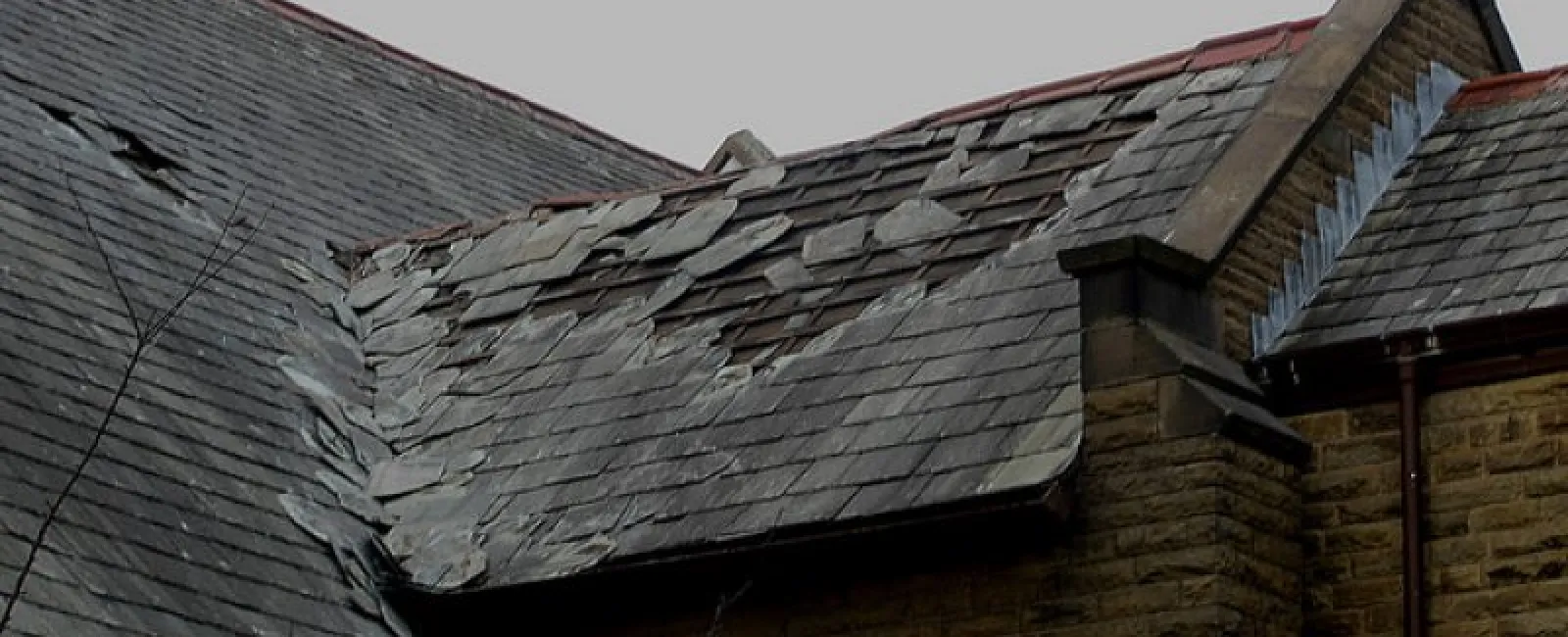 Protecting Your Roof: The Top 3 Most Damaging Debris