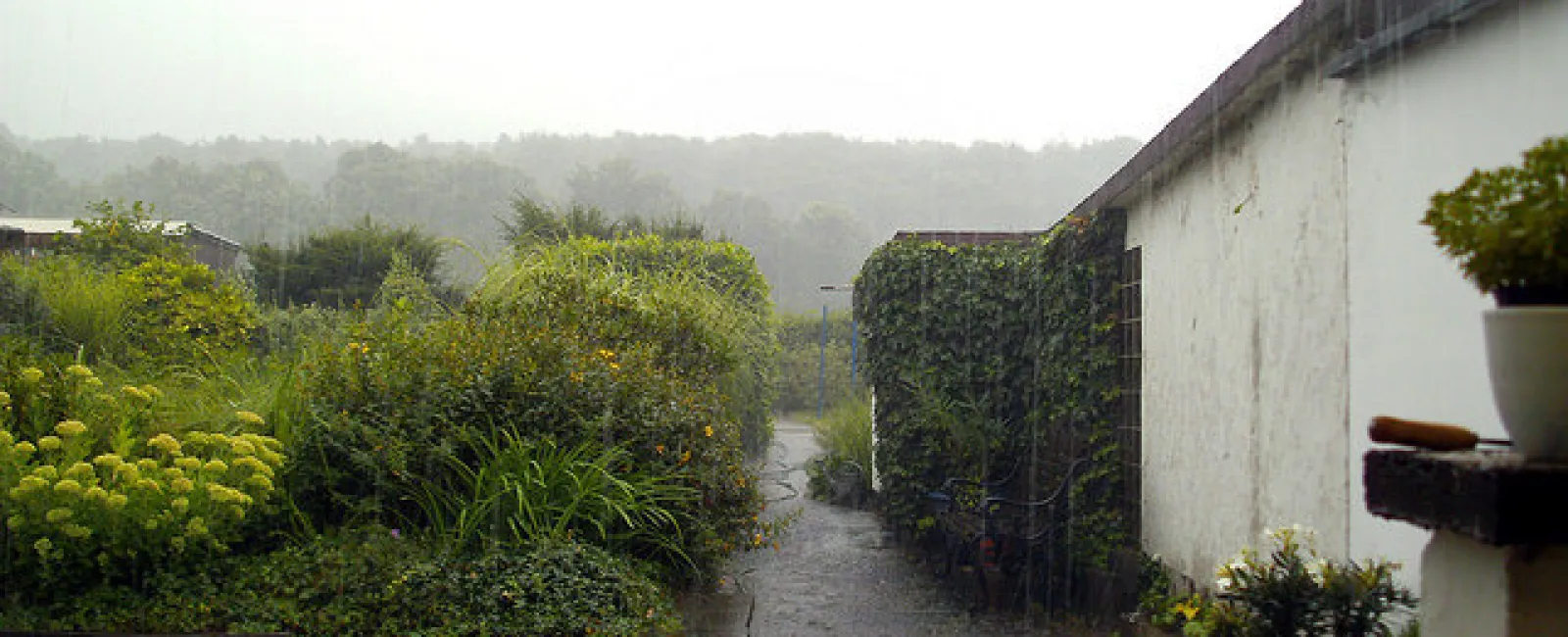 Heavy Rain: 10 Ways to Protect Your Roof