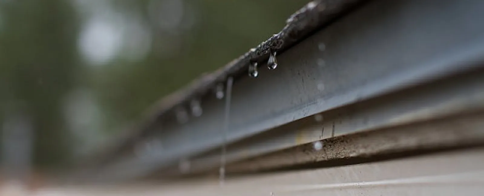 What Is a Gutter Cover & Why Do I Need One?