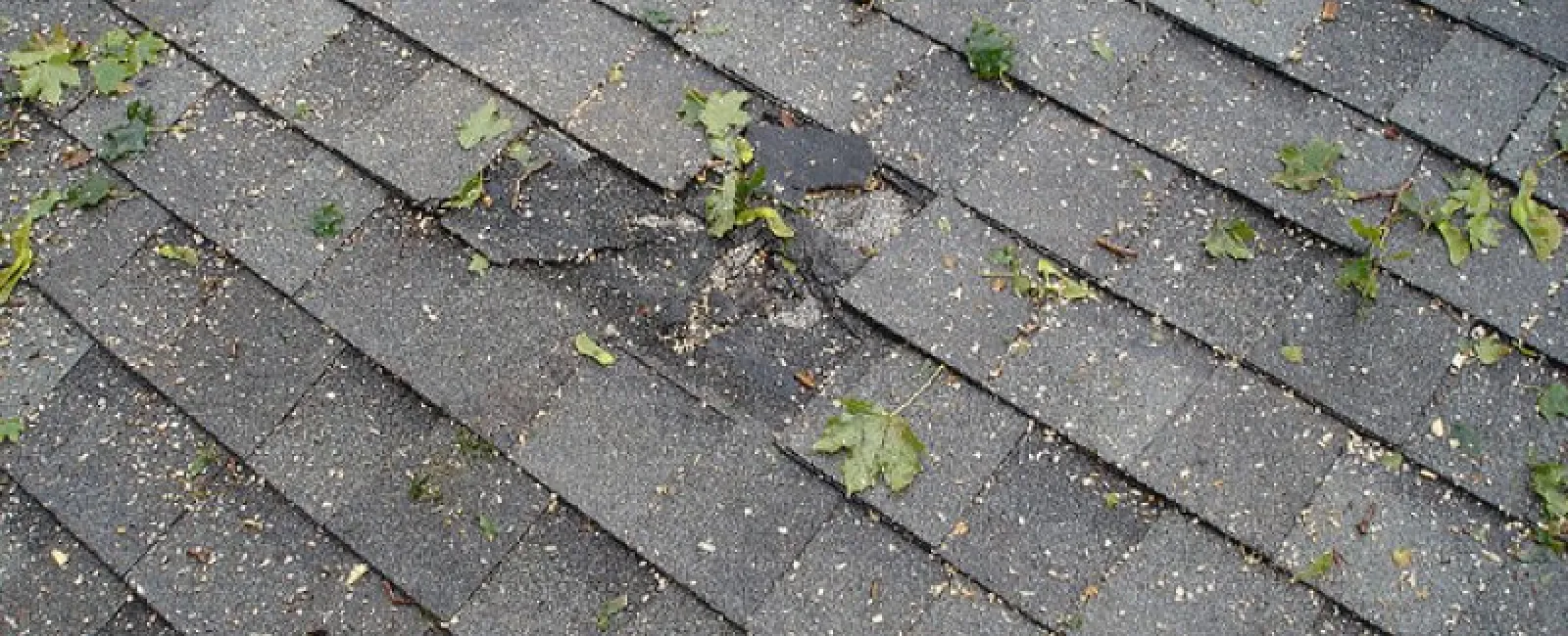 Blistering Buckling Curling: 3 Signs Your Roof Isn’t Doing Well