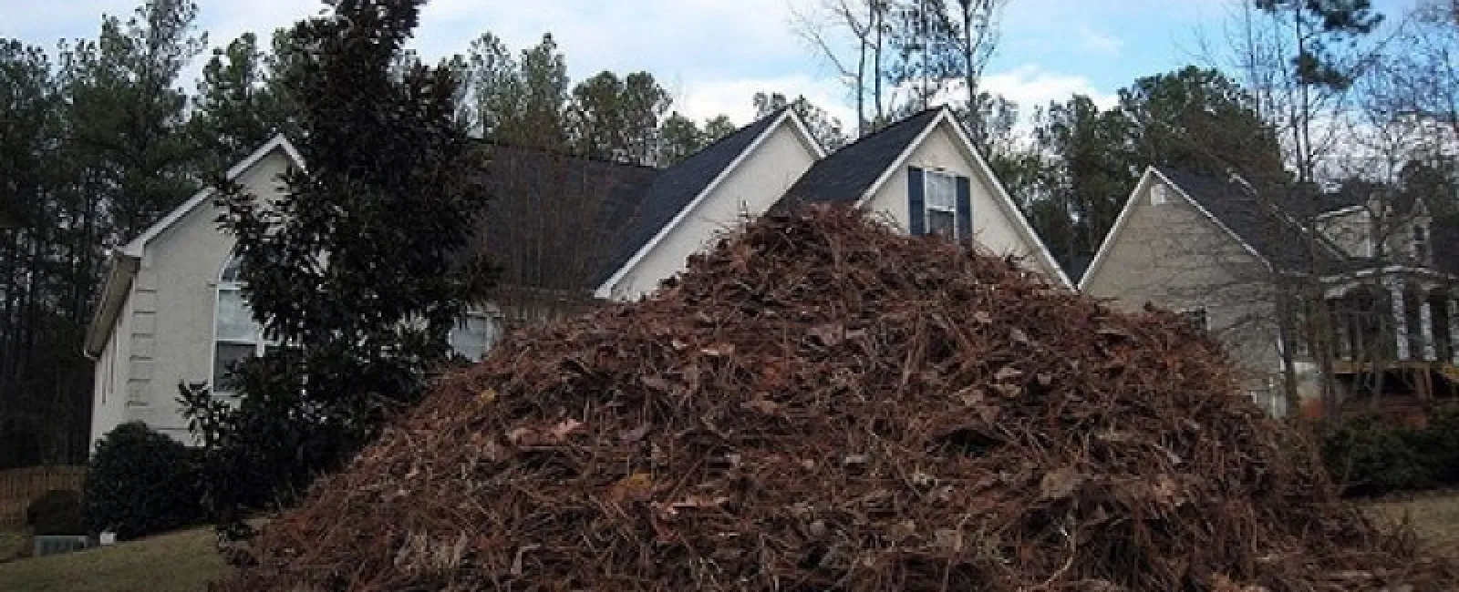 How Can Pine Straw Damage Your Roof? Here’s What You Should Know.