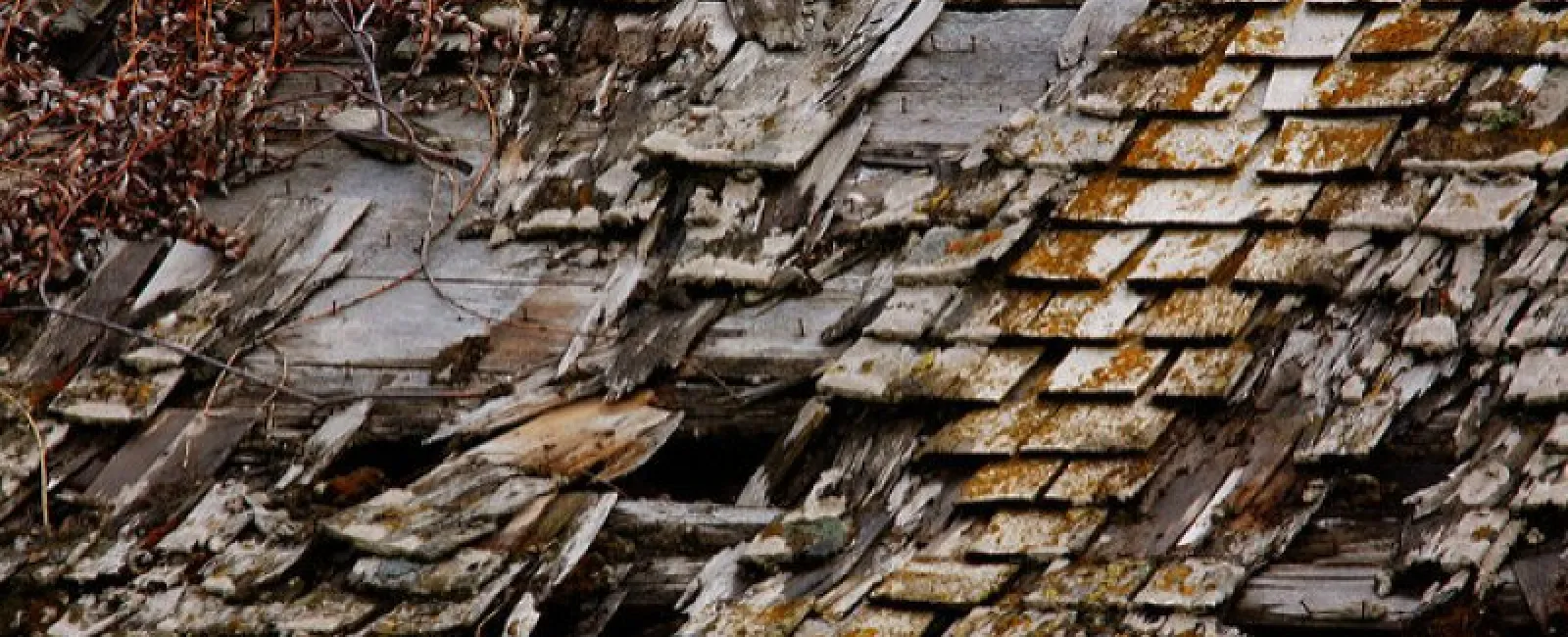 5 Signs Your Roof Shingles Are Rotting