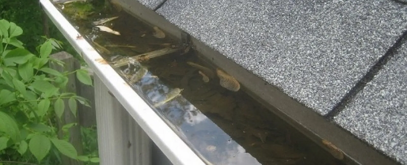 Four Benefits to Cleaning Your Gutters This Winter