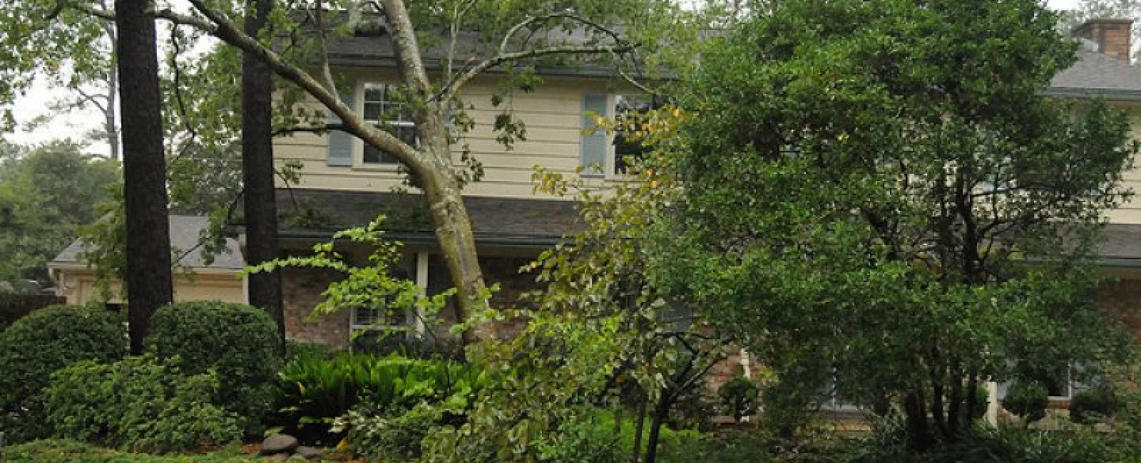 Trees and Roof Damage: What You Need to Know