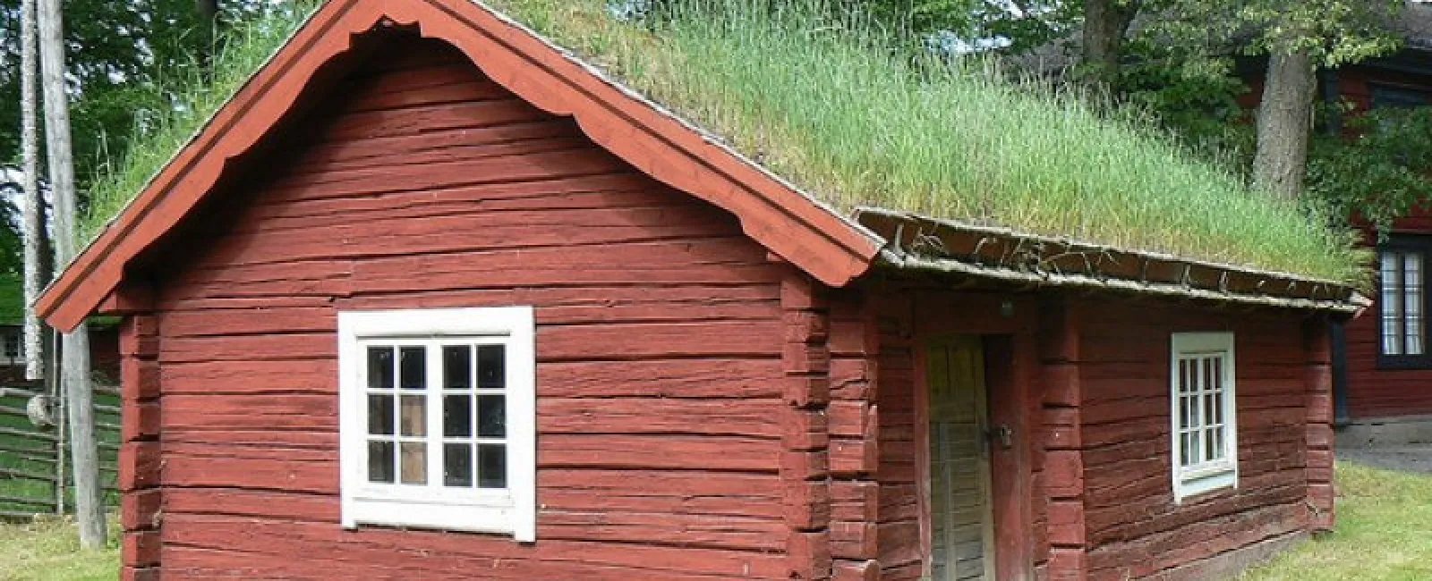 Top 10 Green Roofing Options for Your Home