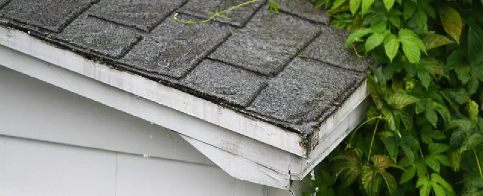 Roof Shingles: Granules and Granule Problems