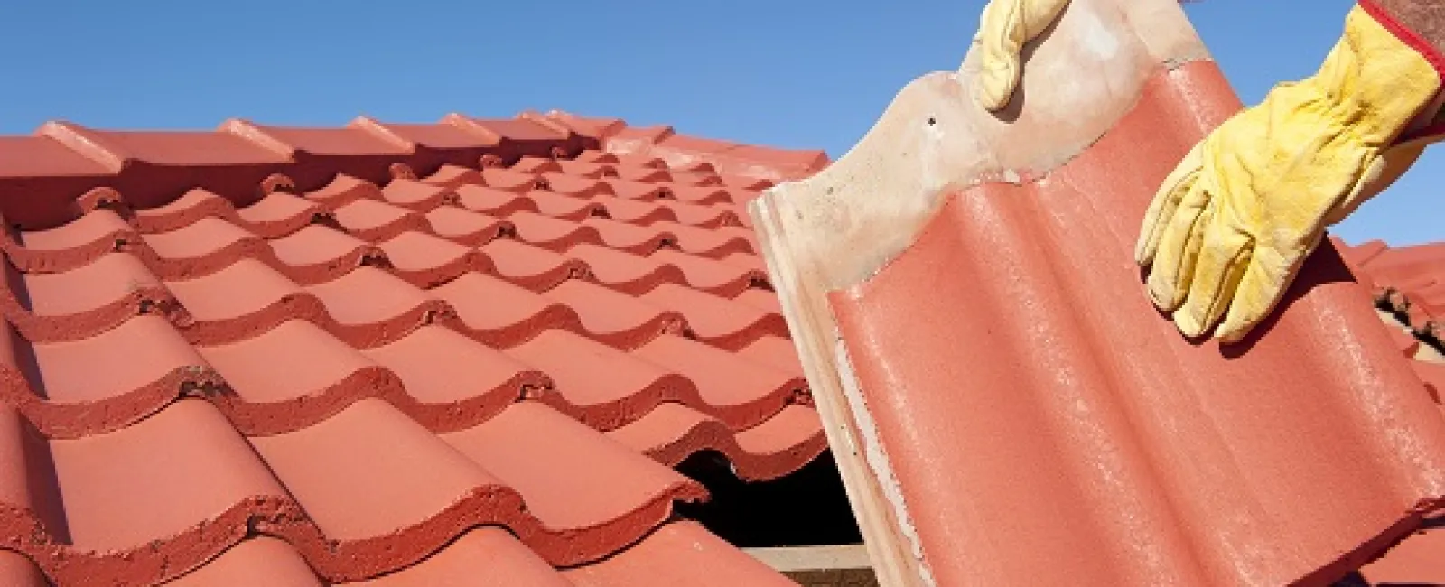 Roof Repair or Roof Replacement: Know What Your Roof Needs