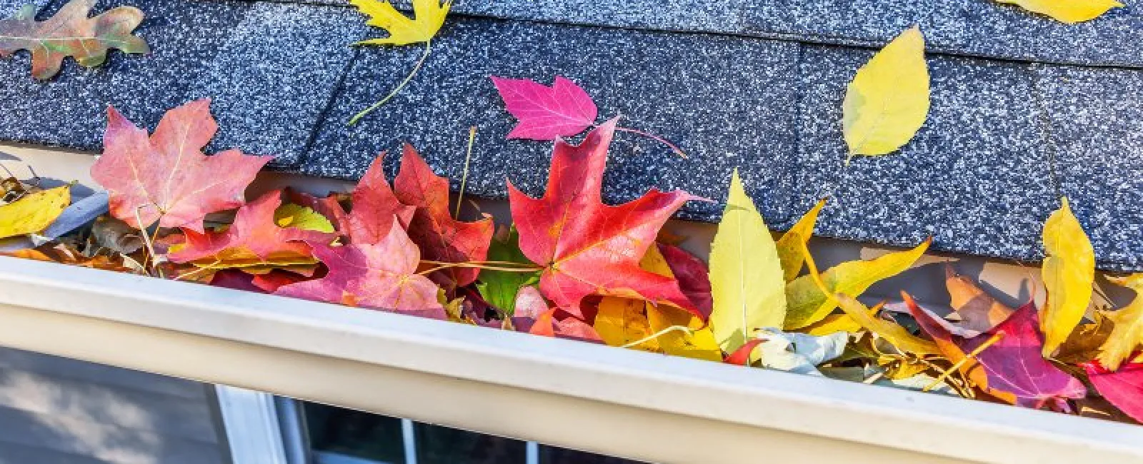 Why Fall Is the Perfect Time for Roof Repairs or Replacement