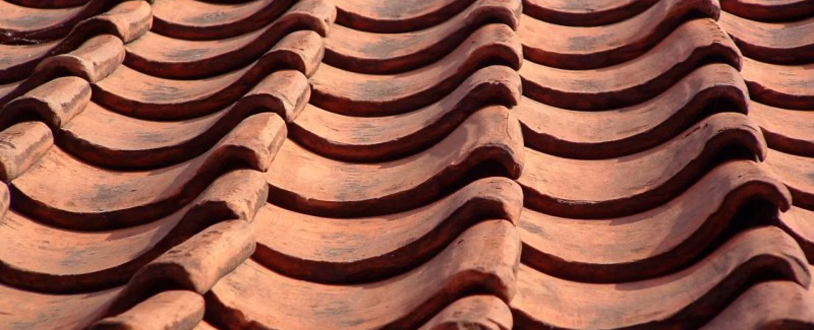 Shingle Stain Removal: Restoring your roof’s shine