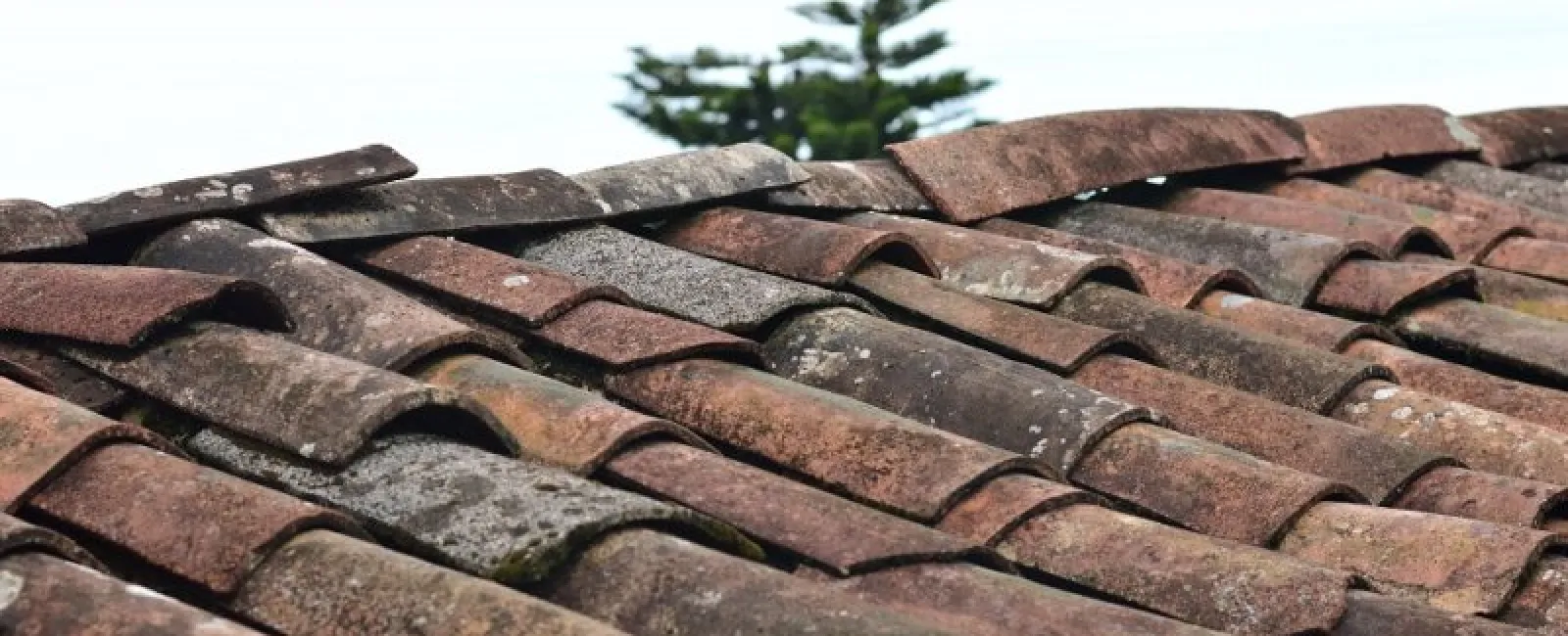 How to Recognize Four Different Roofing Problems
