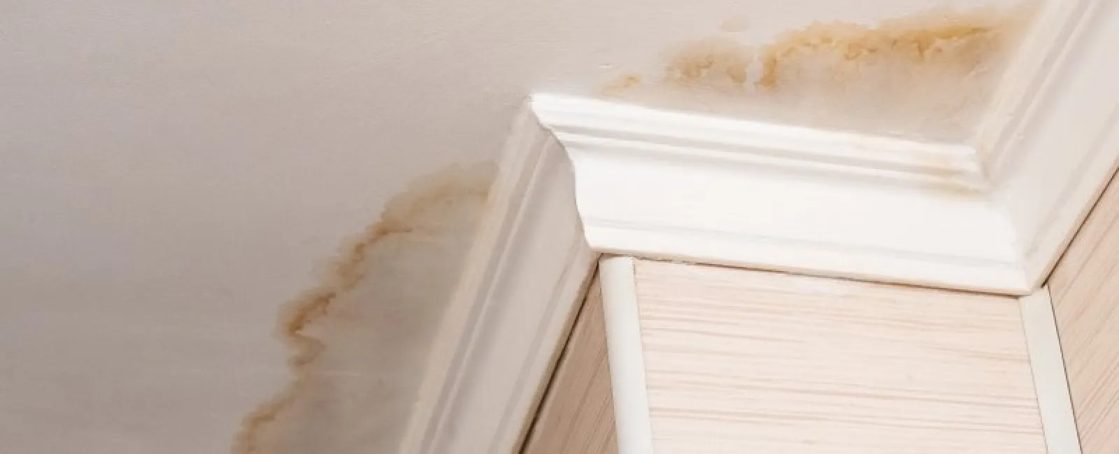 Leaky Roof? Now What?