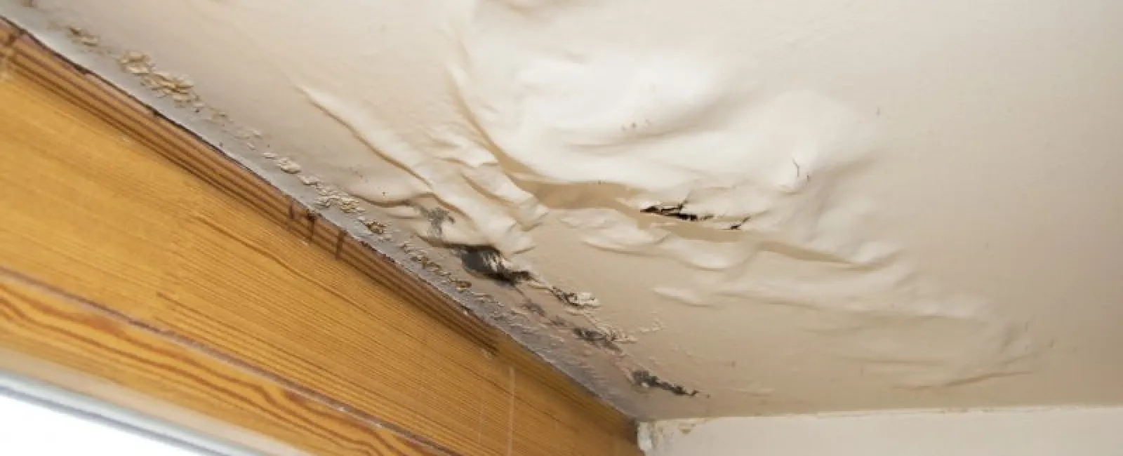 Why You Shouldn't Neglect Water Stains on Your Ceiling