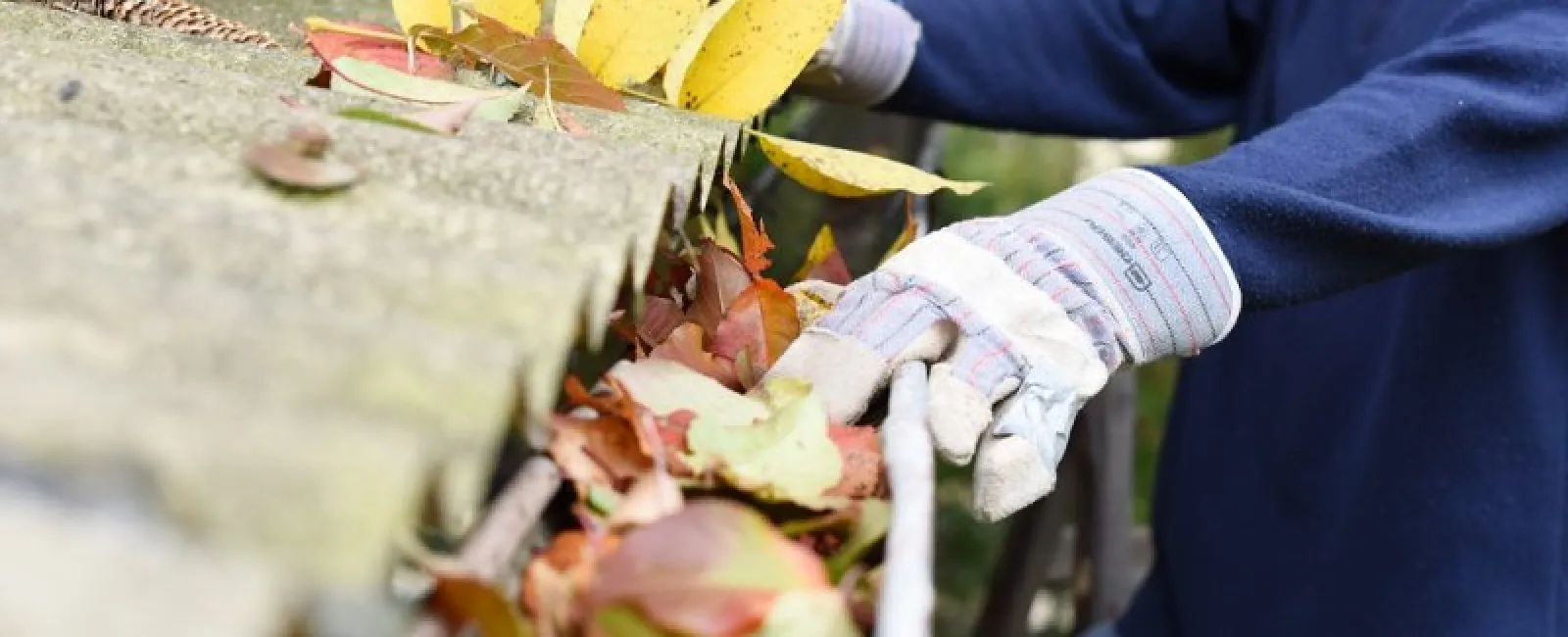 Signs It’s Time to Replace Your Gutters