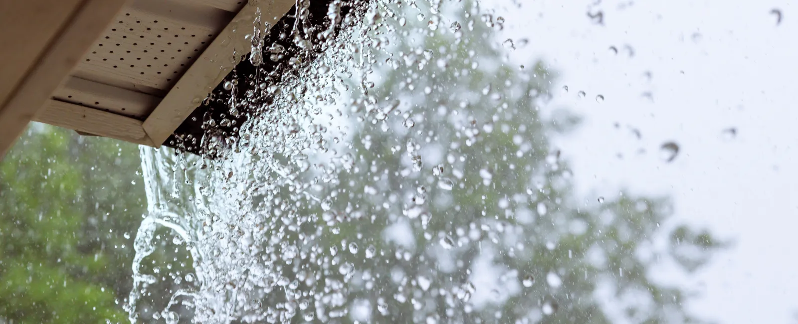 Rainy Season Preparedness: How to Ensure Your Gutters Are Ready