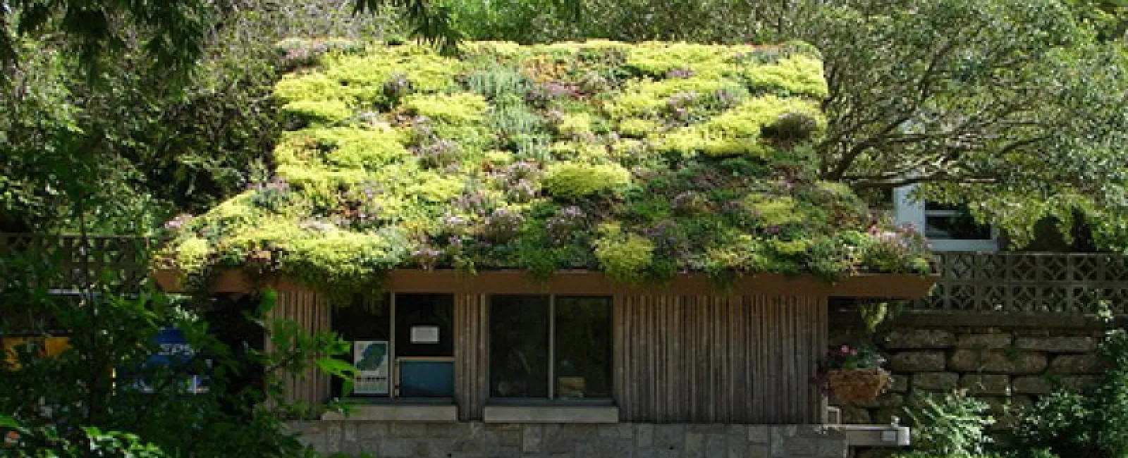 Green roofs transform cityscape and countryside