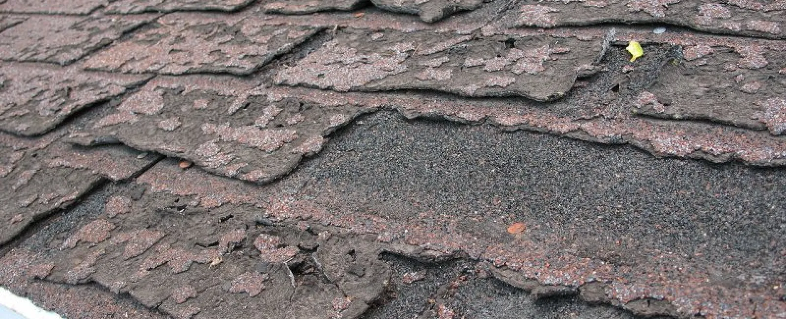 Signs that you need a roof replacement