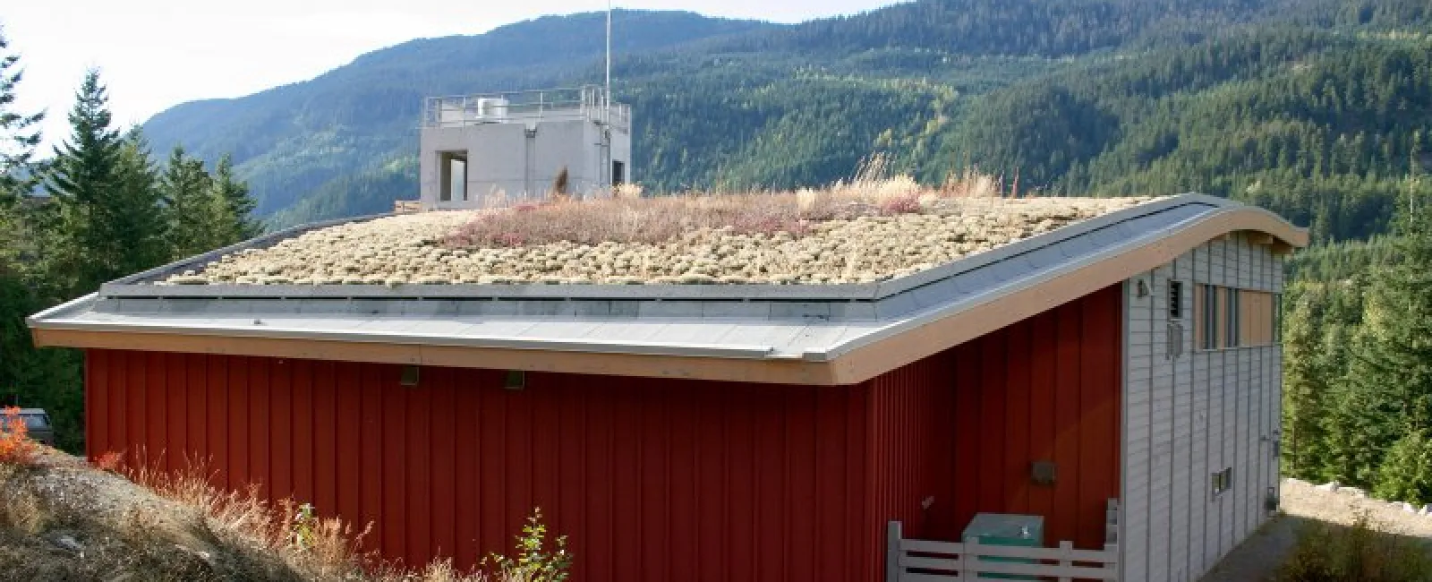 What to Know About Living Roofs
