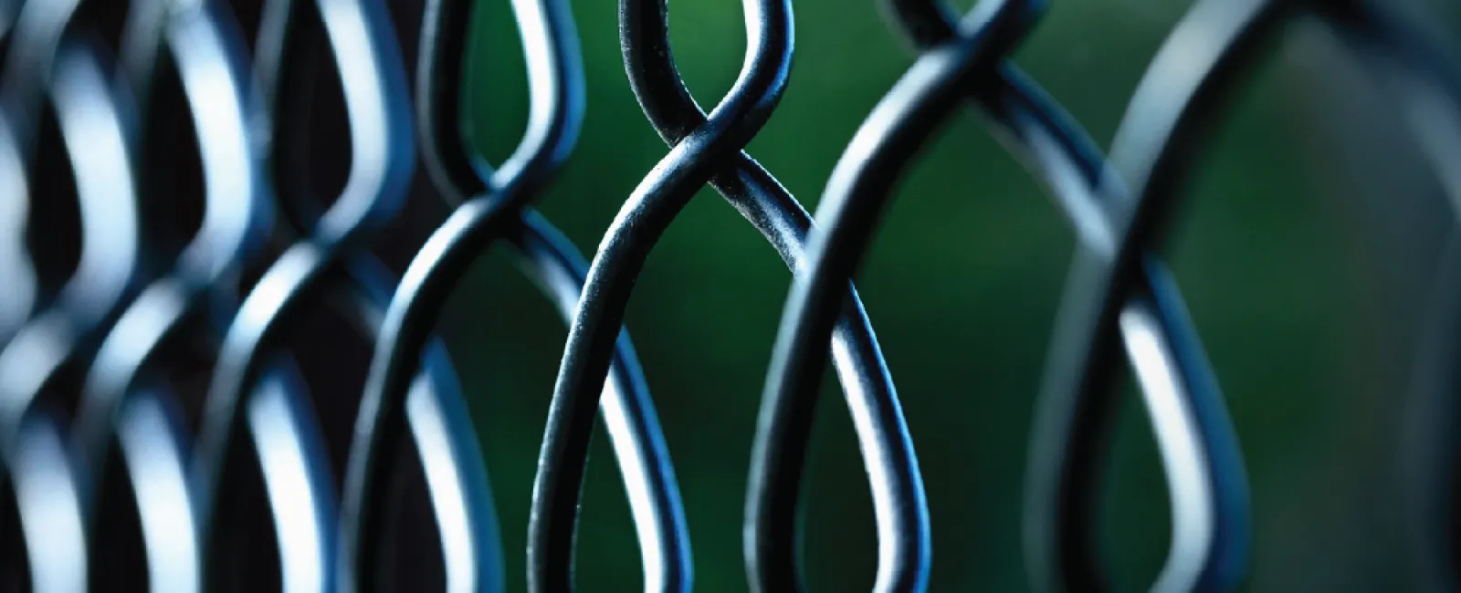 10 Privacy Options For Chain Link Fences 