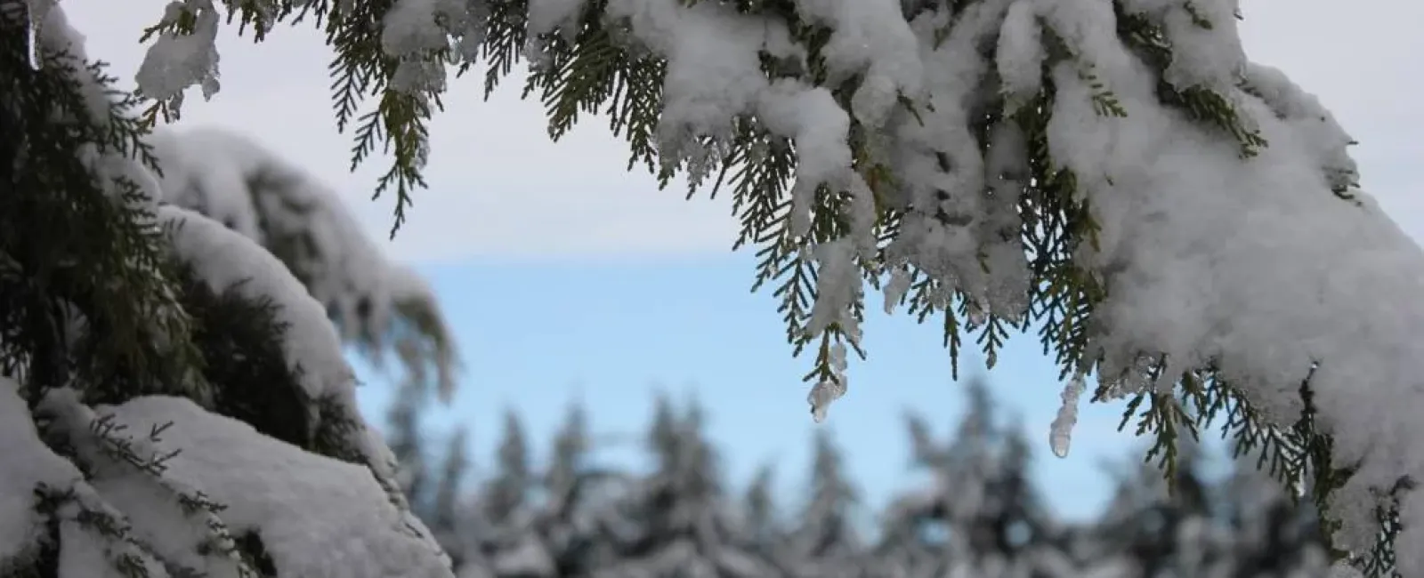 You Can Install a Fence in Winter