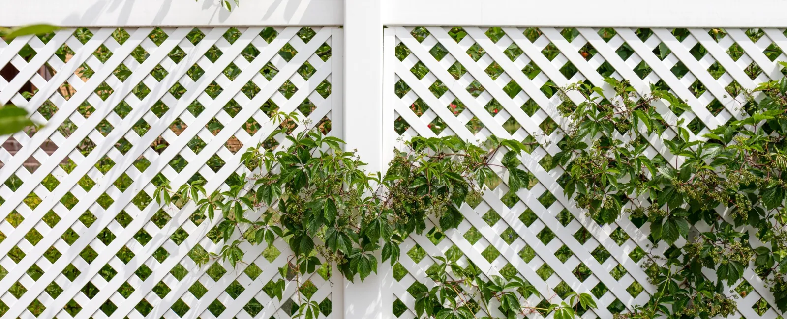 The Beauty and Functionality of a Lattice Fence 