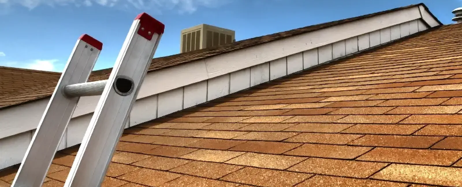 How Can I Tell If I Have Missing Roof Shingles?