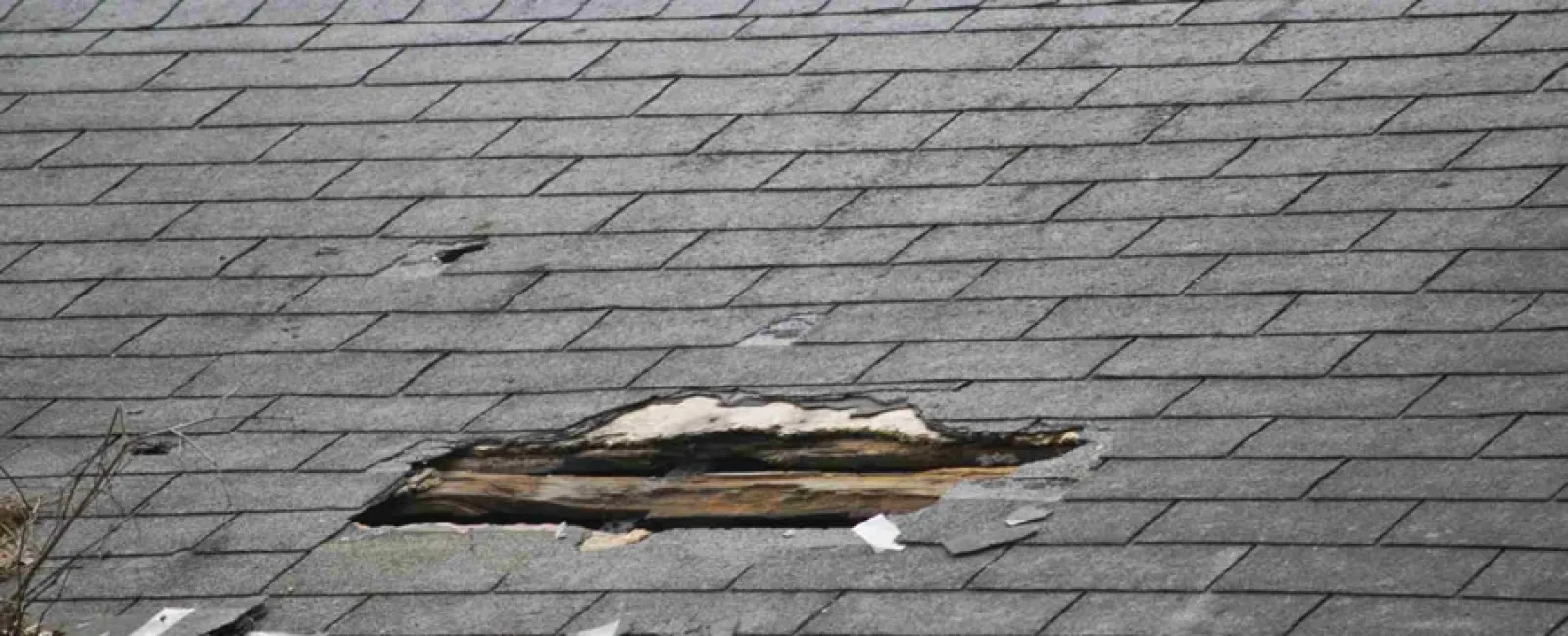 5 Signs To Tell if Your Roof Is Leaking