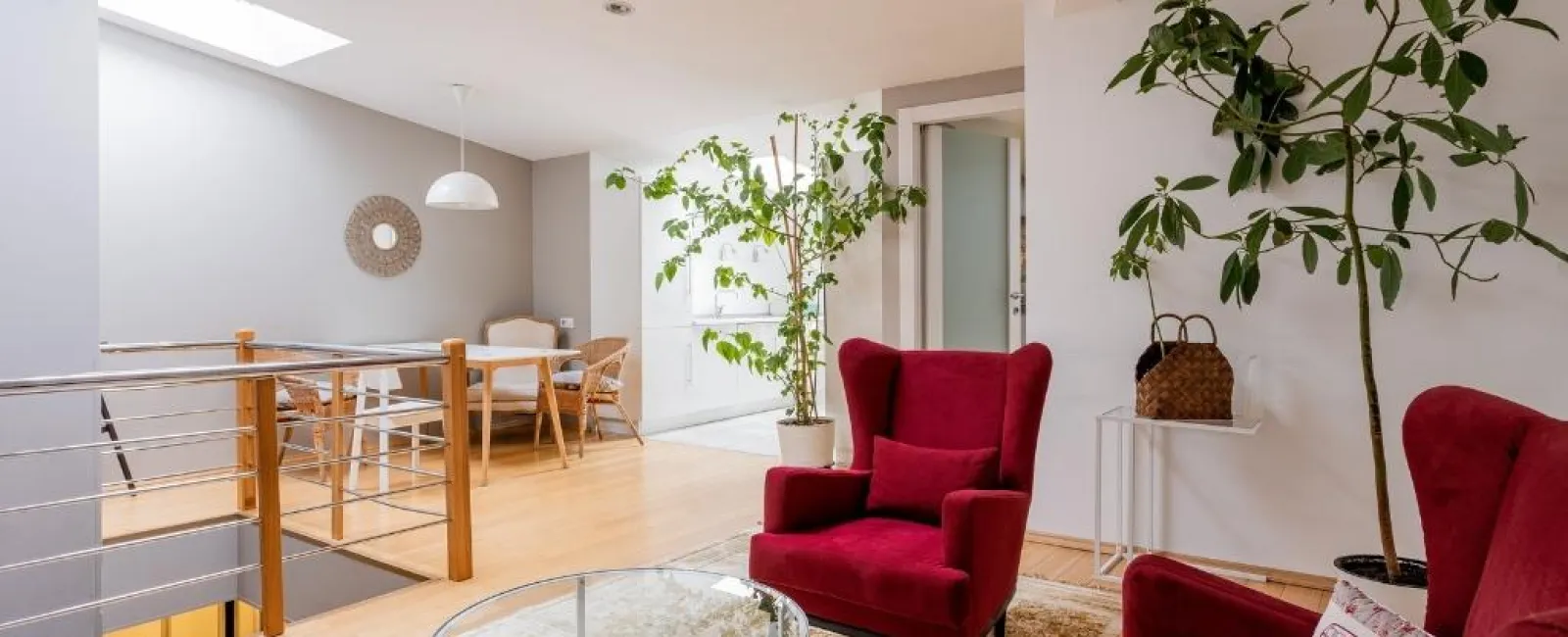 Modern living room with red velvet chairs, glass coffee table, large plants, and natural skylight illumination