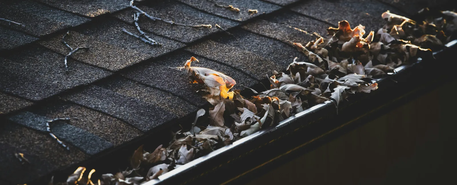 Close-up of roof shingles and gutter filled with autumn dry leaves under soft sunlight.
