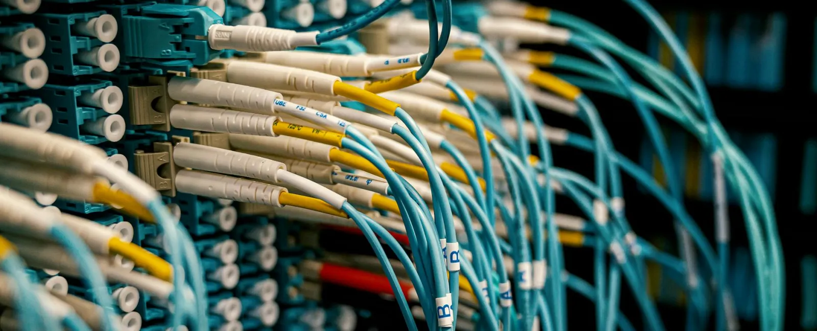 Close-up of network server with multiple blue and yellow fiber optic cables connected to ports in a data center rack.