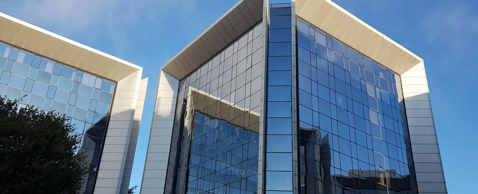 Modern glass office building with reflective windows under a blue sky and adjacent trees