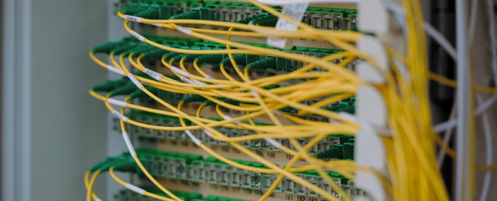Close-up of optical fiber cables connected to a network patch panel with organized yellow cables.
