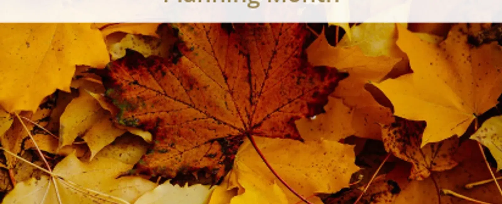 Autumn leaves background with overlaid text reading October is National Financial Planning Month