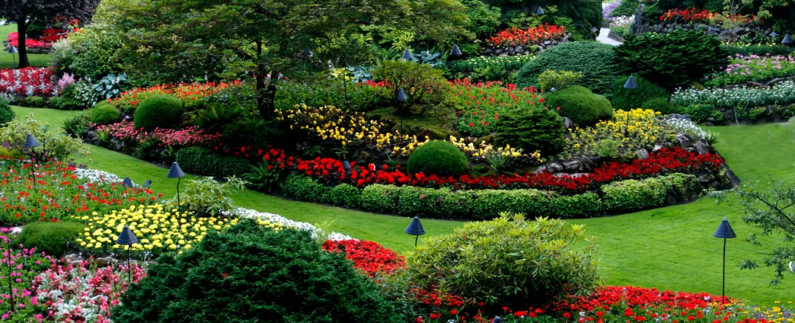 a colorful flower garden with Butchart Gardens in the background