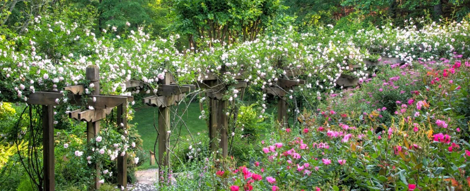 6 Reasons You Should Add an Arbor to Your Landscape