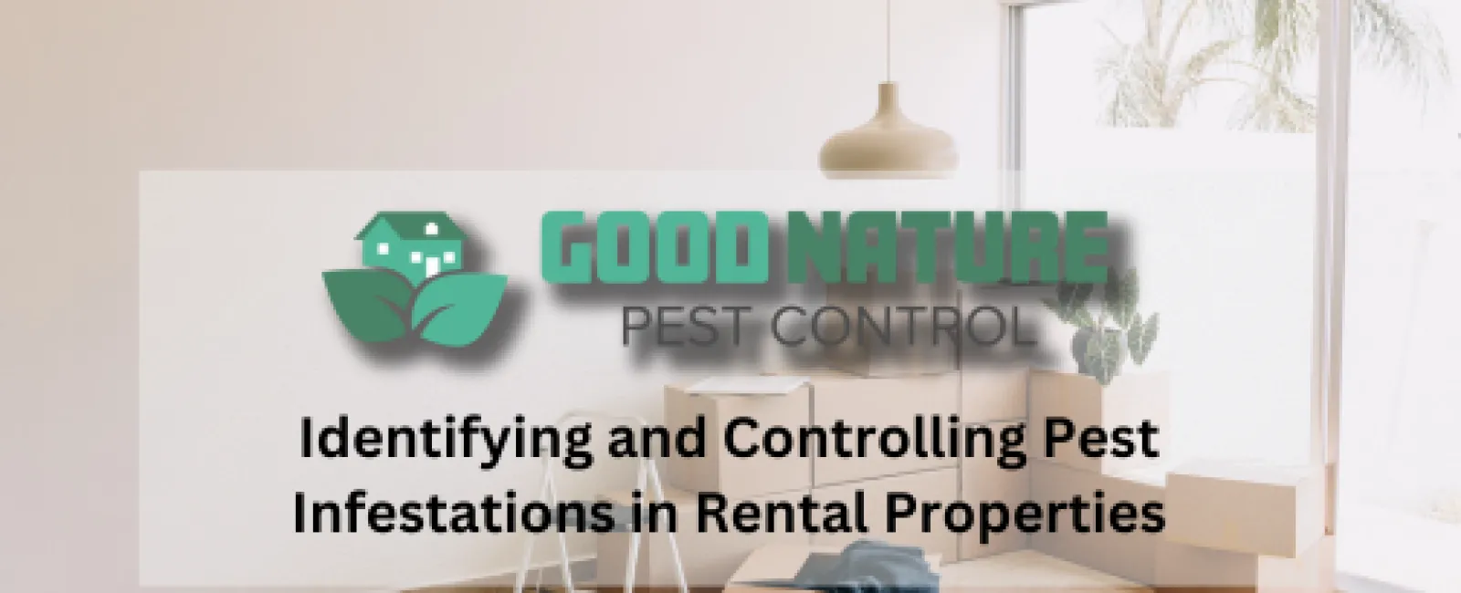 Identifying and Controlling Pest Infestations in Rental Properties