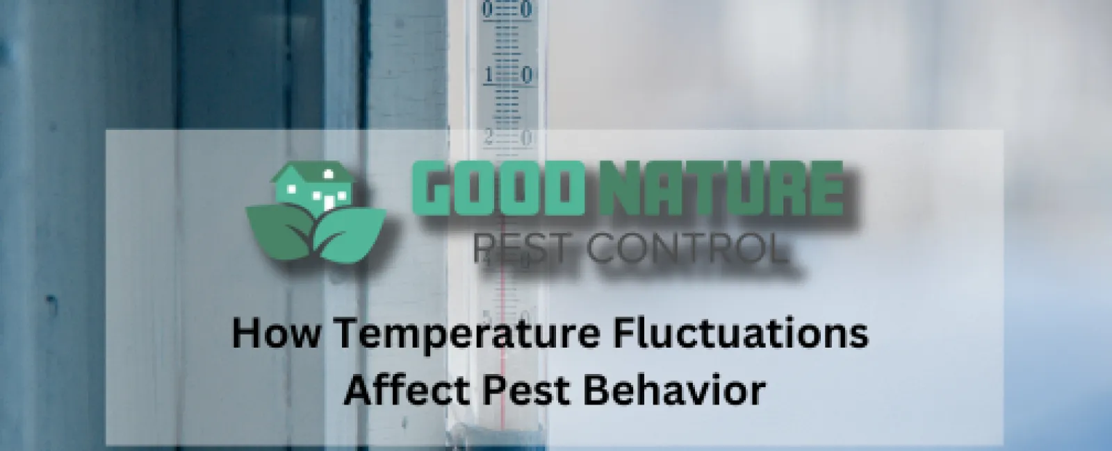 How Temperature Fluctuations Affect Pest Behavior