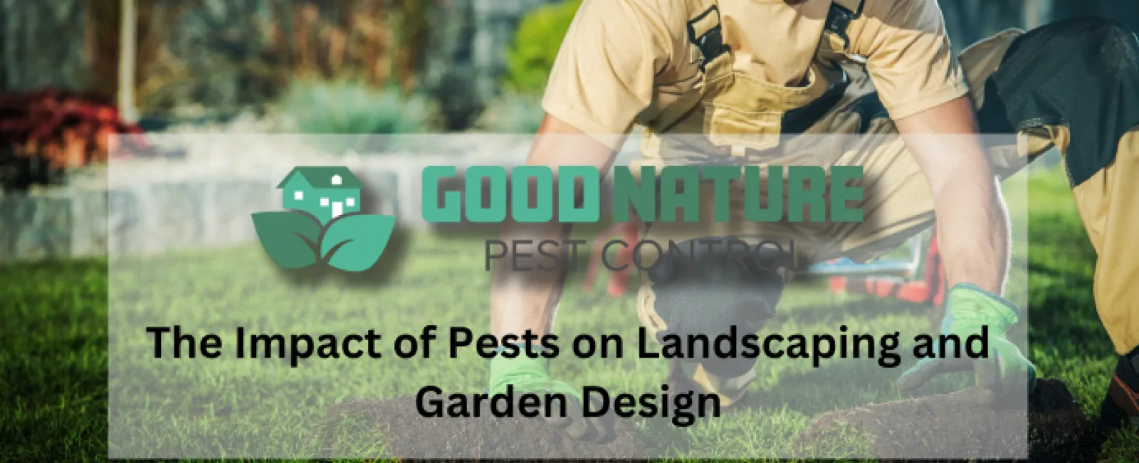 The Impact of Pests on Landscaping and Garden Design