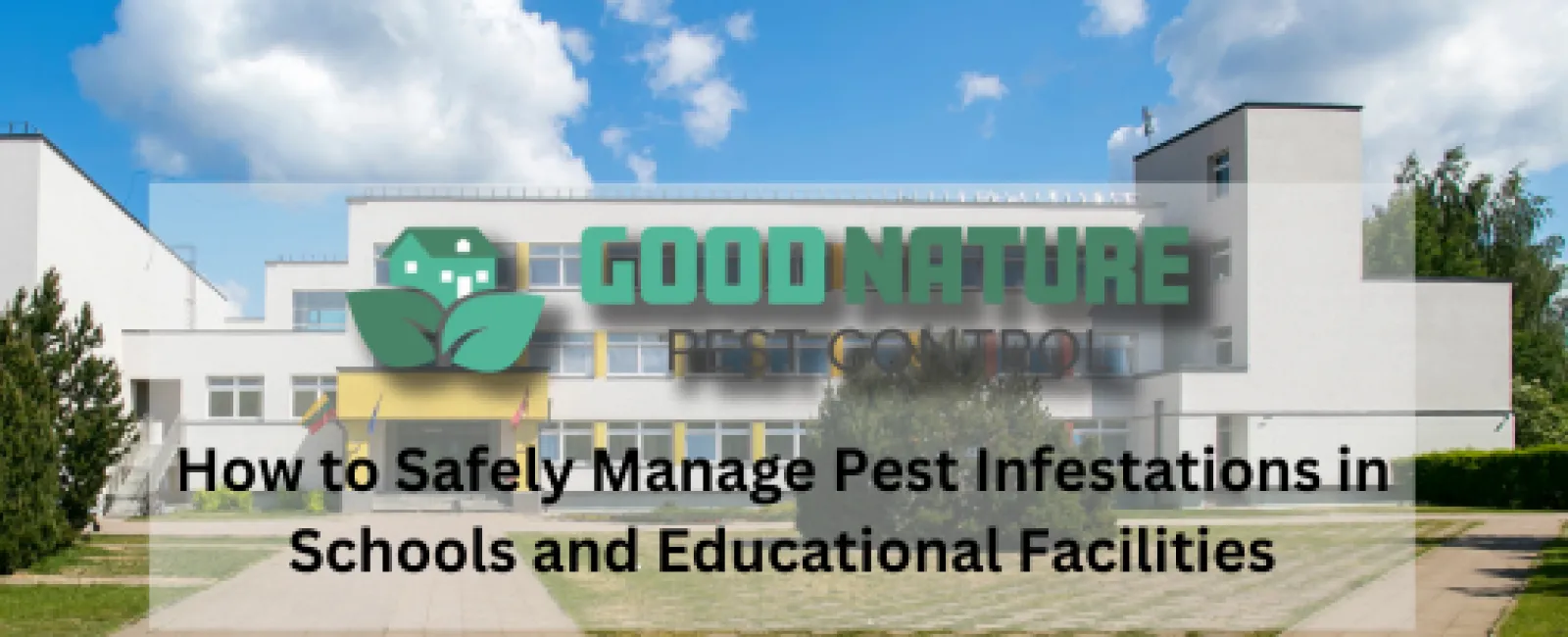 How to Safely Manage Pest Infestations in Schools and Educational Facilities