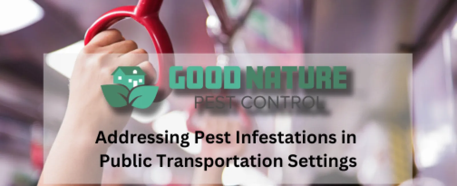 Addressing Pest Infestations in Public Transportation Settings