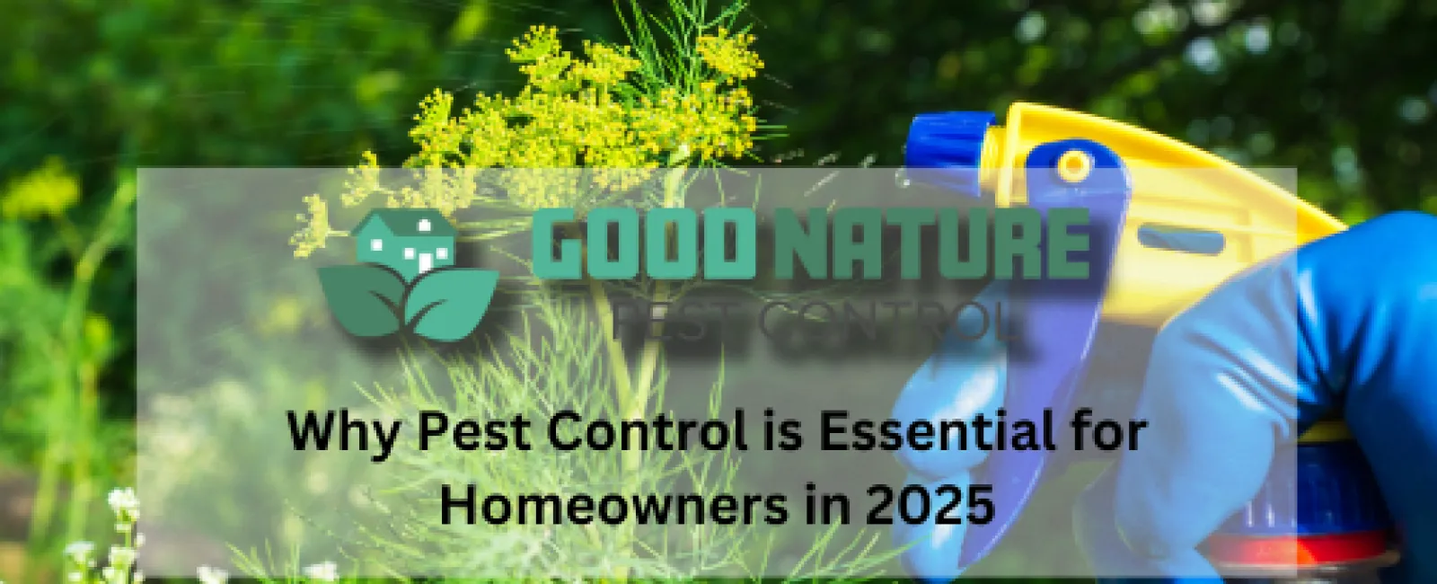 Why Pest Control is Essential for Homeowners in 2025