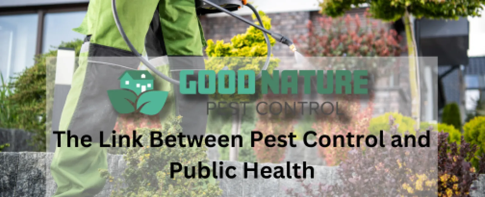 The Link Between Pest Control and Public Health