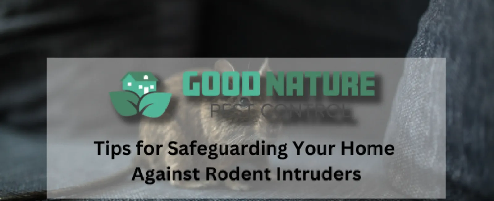 Tips for Safeguarding Your Home Against Rodent Intruders