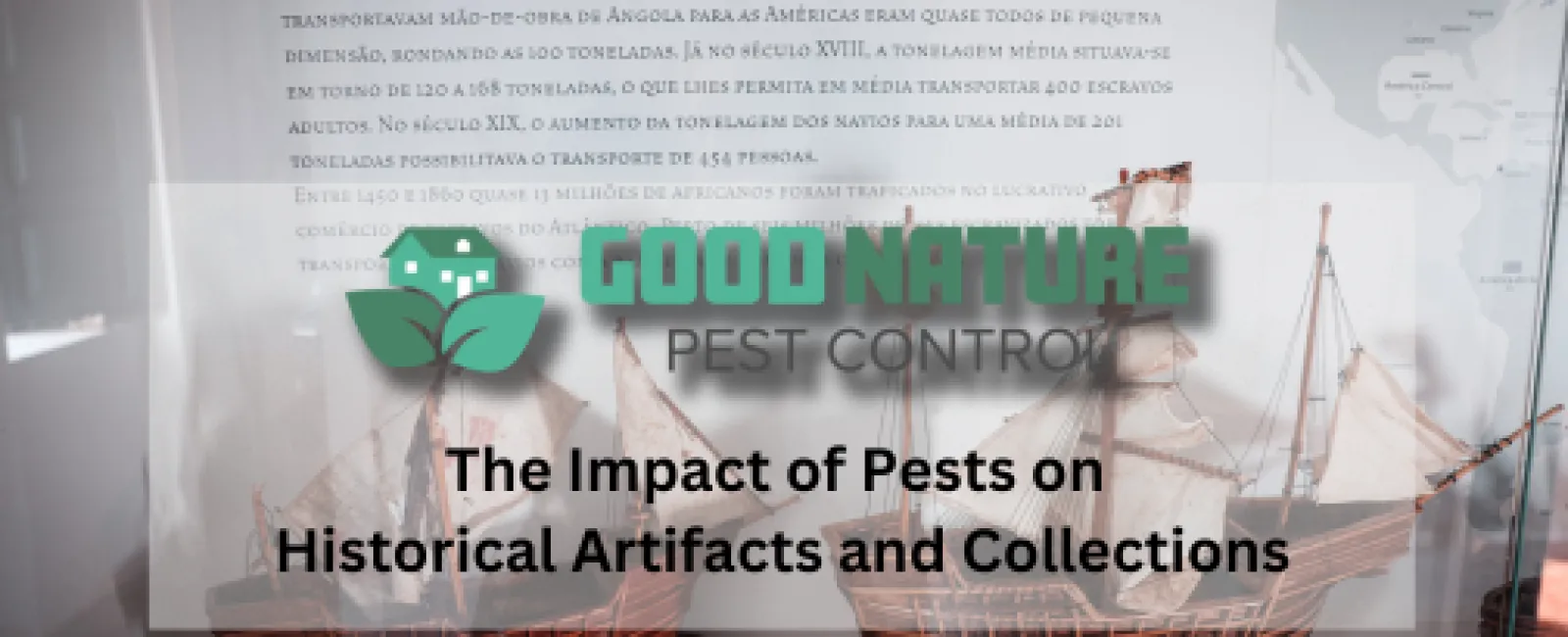 The Impact of Pests on Historical Artifacts and Collections