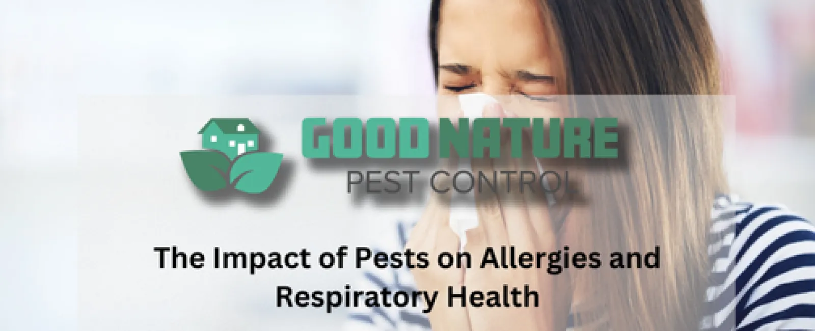 The Impact of Pests on Allergies and Respiratory Health