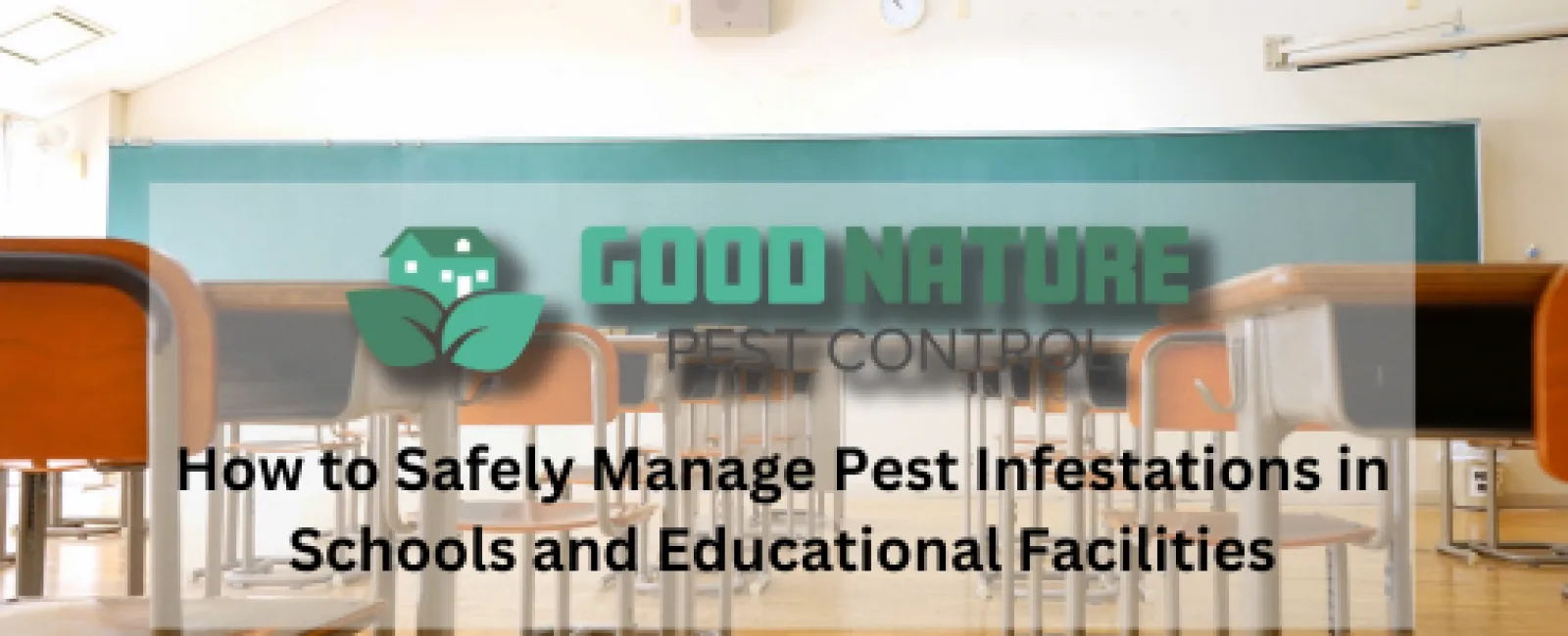 How to Safely Manage Pest Infestations in Schools and Educational Facilities