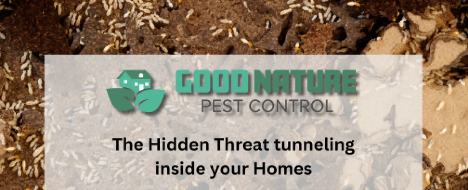 The hidden threat tunneling around your homes