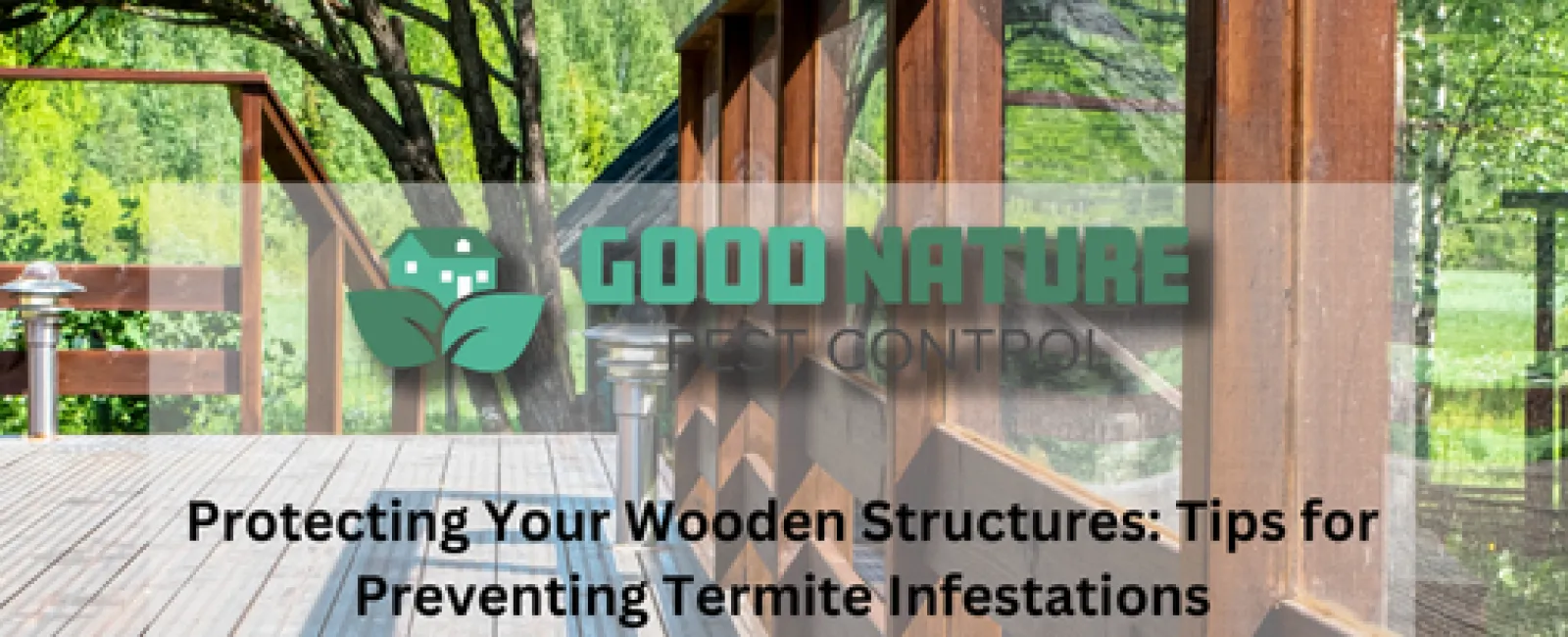 Protecting Your Wooden Structures: Tips for Preventing Termite Infestations