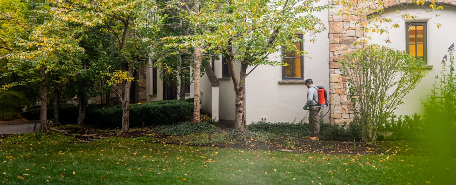 Gardener using a backpack sprayer to treat plants near a house with stone and white walls in autumn.